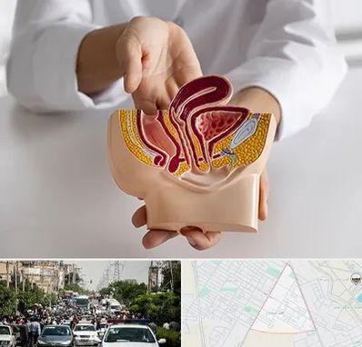 دکتر دستگاه تناسلی مردان در سیدی مشهد