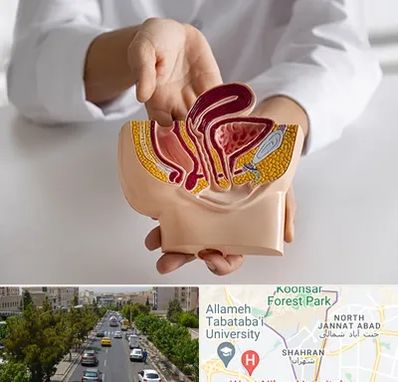 دکتر دستگاه تناسلی مردان در شهران 