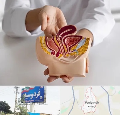 دکتر دستگاه تناسلی مردان در فردوسیه شهریار