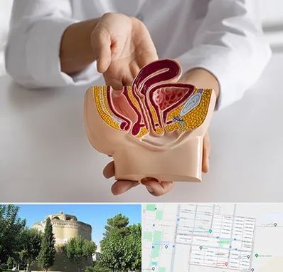 دکتر دستگاه تناسلی مردان در مرداویج اصفهان 