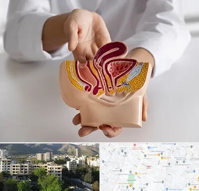 دکتر دستگاه تناسلی مردان در دیباجی