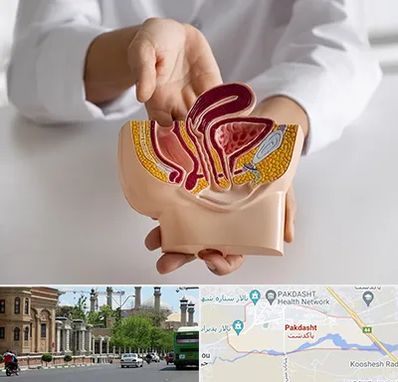 دکتر دستگاه تناسلی مردان در پاکدشت