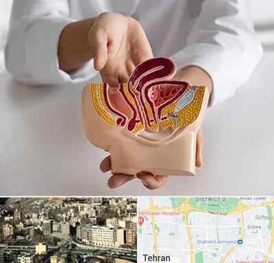 دکتر دستگاه تناسلی مردان در مرزداران