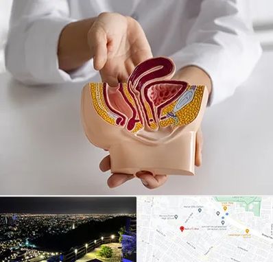 دکتر دستگاه تناسلی مردان در هفت تیر مشهد 