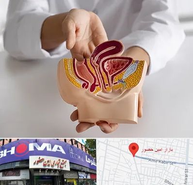 دکتر دستگاه تناسلی مردان در امین حضور