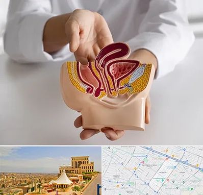 دکتر دستگاه تناسلی مردان در هاشمیه مشهد 