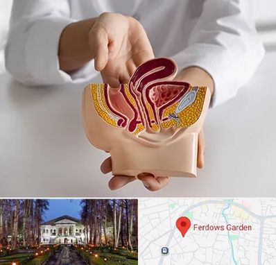 دکتر دستگاه تناسلی مردان در باغ فردوس