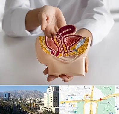 دکتر دستگاه تناسلی مردان در حقانی 