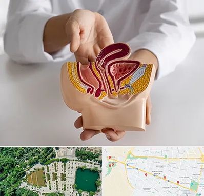 دکتر دستگاه تناسلی مردان در وکیل آباد مشهد 