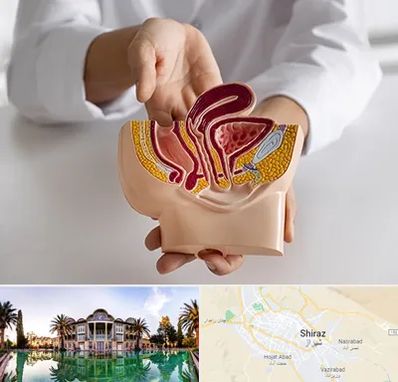 دکتر دستگاه تناسلی مردان در شیراز