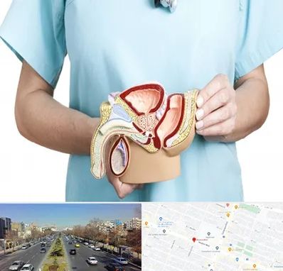 فوق تخصص دستگاه تناسلی مردان در بلوار معلم مشهد 