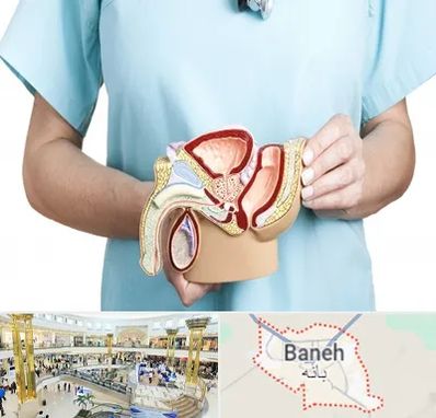 فوق تخصص دستگاه تناسلی مردان در بانه
