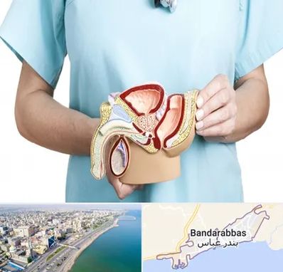 فوق تخصص دستگاه تناسلی مردان در بندرعباس