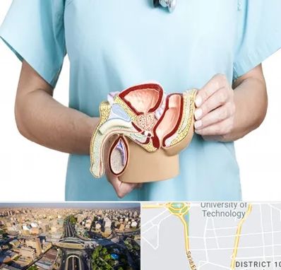 فوق تخصص دستگاه تناسلی مردان در استاد معین 