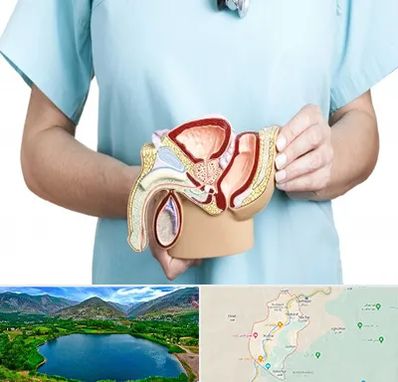 فوق تخصص دستگاه تناسلی مردان در رودبار