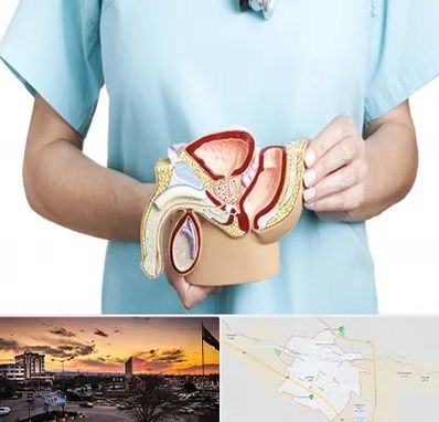 فوق تخصص دستگاه تناسلی مردان در قوچان