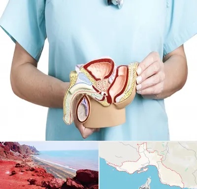 فوق تخصص دستگاه تناسلی مردان در هرمزگان