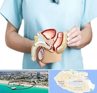 فوق تخصص دستگاه تناسلی مردان در کیش