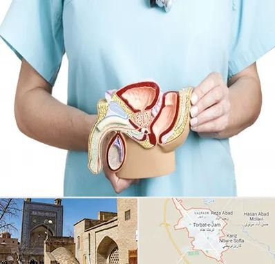 فوق تخصص دستگاه تناسلی مردان در تربت جام