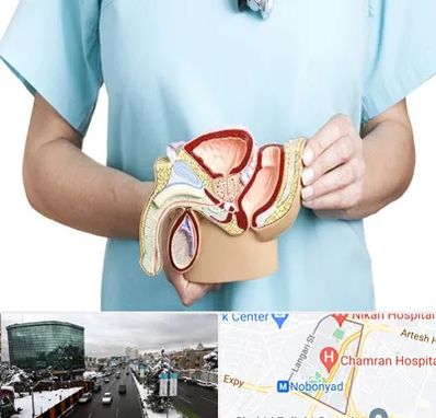 فوق تخصص دستگاه تناسلی مردان در اقدسیه