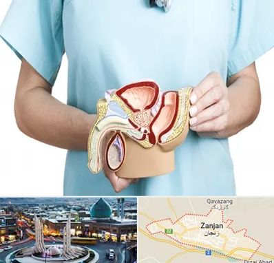 فوق تخصص دستگاه تناسلی مردان در زنجان