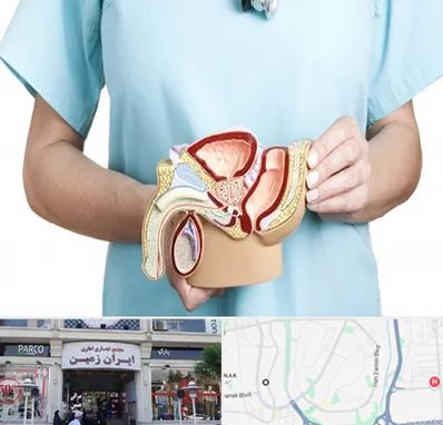 فوق تخصص دستگاه تناسلی مردان در ایران زمین