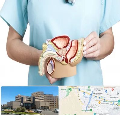 فوق تخصص دستگاه تناسلی مردان در صیاد شیرازی مشهد 