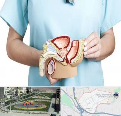 فوق تخصص دستگاه تناسلی مردان در مرزداران تبریز