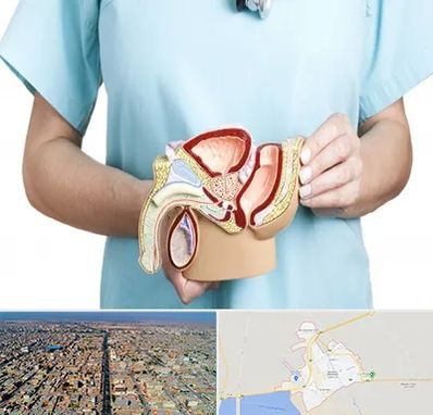 فوق تخصص دستگاه تناسلی مردان در بندر ماهشهر