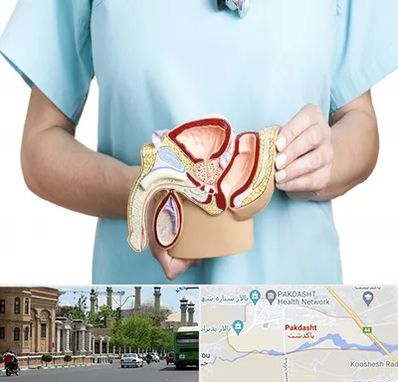 فوق تخصص دستگاه تناسلی مردان در پاکدشت