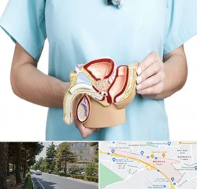 فوق تخصص دستگاه تناسلی مردان در مهرویلا کرج 