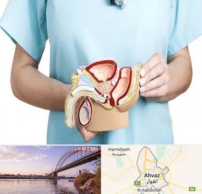 فوق تخصص دستگاه تناسلی مردان در اهواز