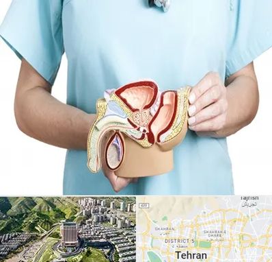 فوق تخصص دستگاه تناسلی مردان در شمال تهران 