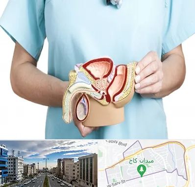 فوق تخصص دستگاه تناسلی مردان در سعادت آباد 