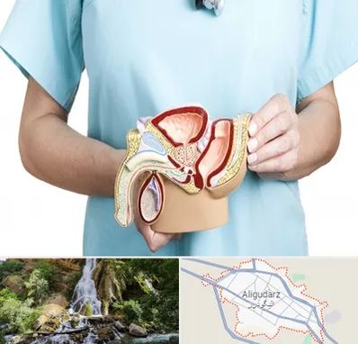 فوق تخصص دستگاه تناسلی مردان در الیگودرز