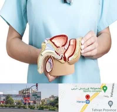 فوق تخصص دستگاه تناسلی مردان در هروی 