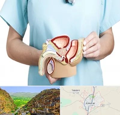 فوق تخصص دستگاه تناسلی مردان در کامیاران