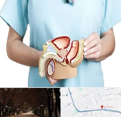 فوق تخصص دستگاه تناسلی مردان در ابوریحان تبریز