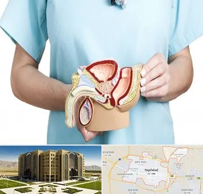 فوق تخصص دستگاه تناسلی مردان در نجف آباد