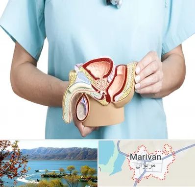 فوق تخصص دستگاه تناسلی مردان در مریوان