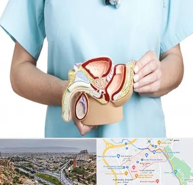 فوق تخصص دستگاه تناسلی مردان در معالی آباد شیراز 