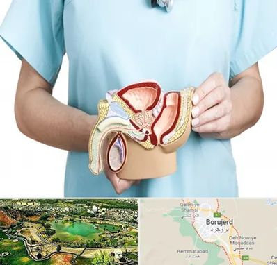 فوق تخصص دستگاه تناسلی مردان در بروجرد