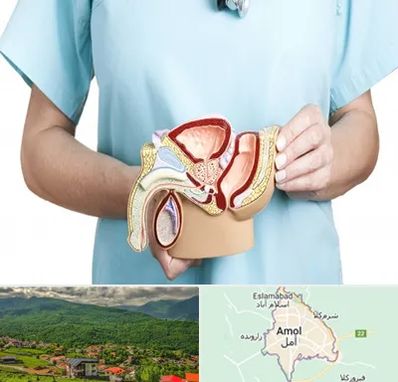 فوق تخصص دستگاه تناسلی مردان در آمل