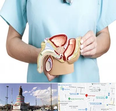 فوق تخصص دستگاه تناسلی مردان در کارگر جنوبی 