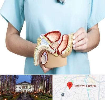 فوق تخصص دستگاه تناسلی مردان در باغ فردوس