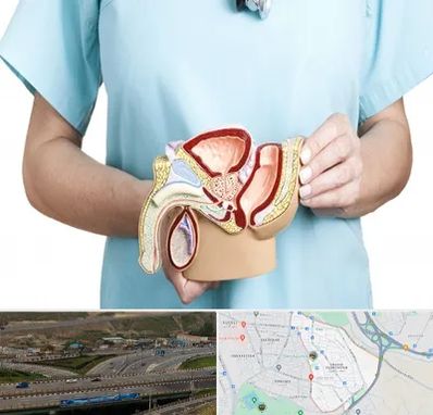 فوق تخصص دستگاه تناسلی مردان در یاغچیان تبریز