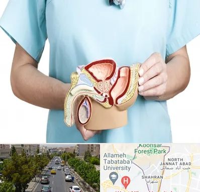 فوق تخصص دستگاه تناسلی مردان در شهران 