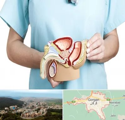 فوق تخصص دستگاه تناسلی مردان در گرگان