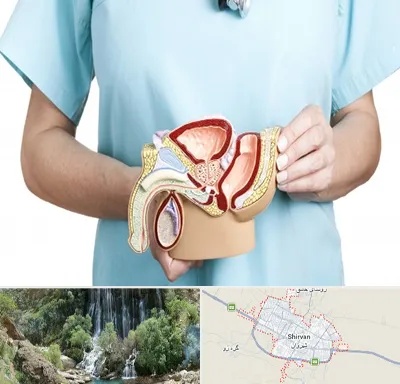 فوق تخصص دستگاه تناسلی مردان در شیروان