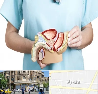 فوق تخصص دستگاه تناسلی مردان در لاله زار